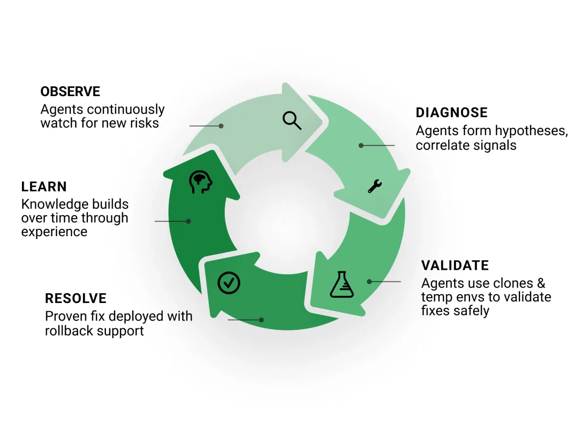 A five-stage cycle diagram in shades of green, labelled Observe, Diagnose, Validate, Resolve and Learn, with an explanatory line under each stage.